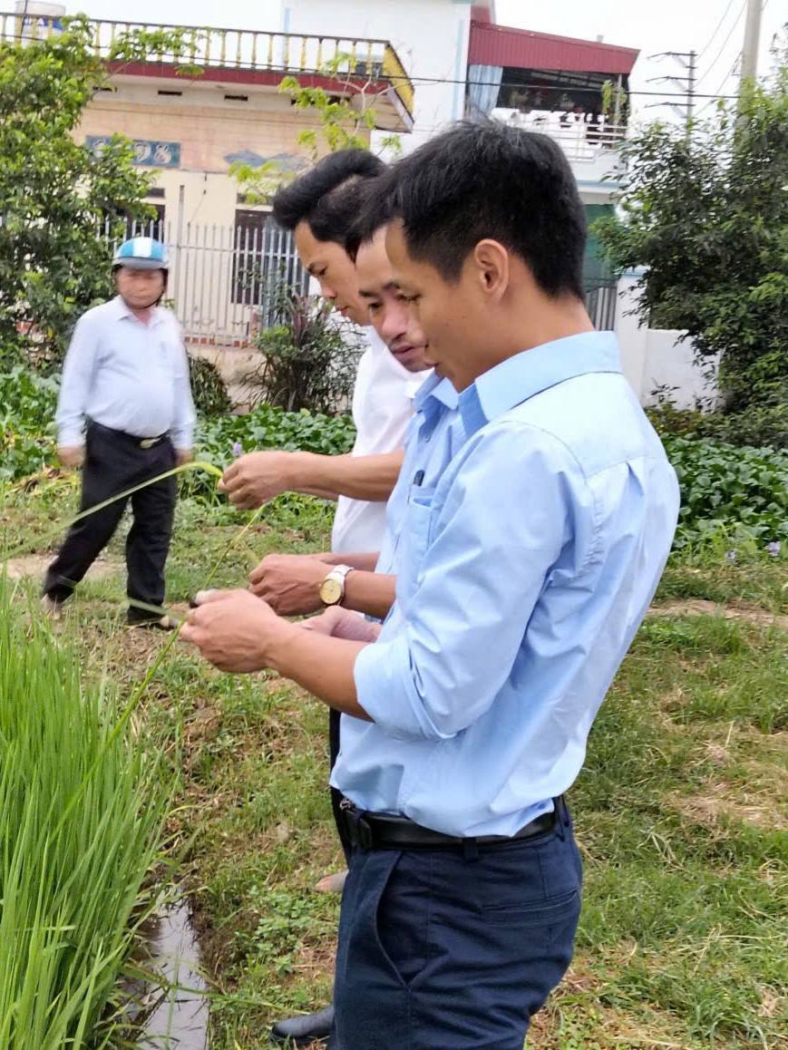 anh tin bai